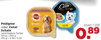 Unimarkt Pedigree Oder Cesar Schale 150 g/ 300 g Angebot