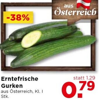 Unimarkt Erntefrische Gurken Angebot