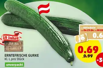 PENNY Erntefrische Gurke Kl 1 Angebot