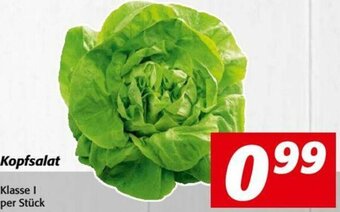Nah&Frisch Kopfsalat Angebot