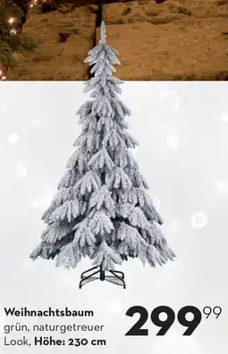 Bellaflora Weihnachtsbaum Angebot