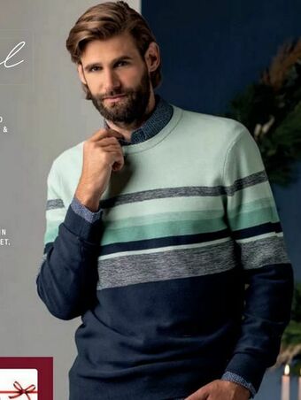 Fussl Herren Pulli Angebot