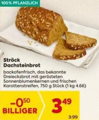 Billa Ströck Dachsteinbrot Angebot
