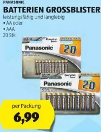 Hofer Panasonic batterien grossblister Angebot