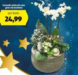 Hofer Keramik anthrazit oder grün mit Orchidee Angebot