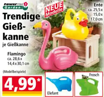 Norma Power Garden Trendige Gieß Kanne Angebot