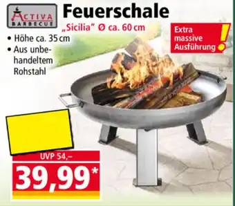 Norma Activa Barbecue Feuerschale 60 cm Angebot