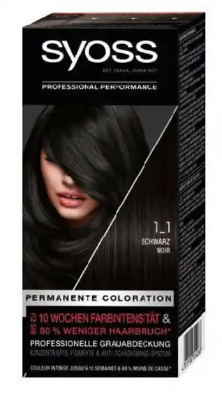 dm Permanente Coloration Angebot