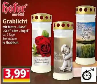 Norma Grablicht Angebot