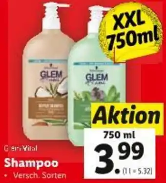 Lidl GLEM Shampoo Angebot