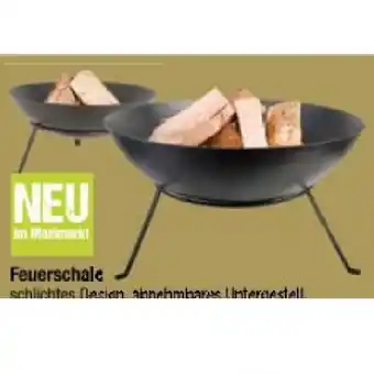 Maximarkt Feuerschale Maximarkt Angebot