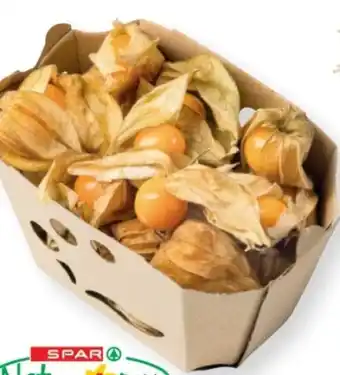 SPAR Gourmet Bio-Physalis Angebot