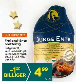 Billa Freiland-ente bratfertig Angebot