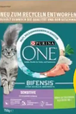 PENNY One Katzennahrung Bifensis Angebot