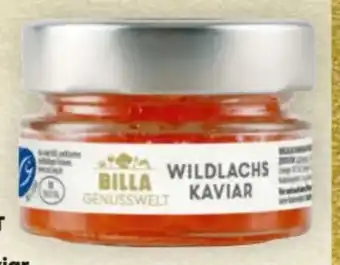 Billa Wildlachskaviar Angebot