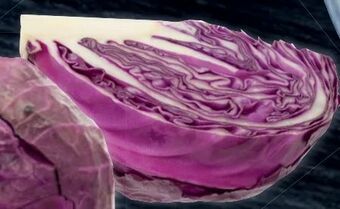 Lidl Rotkraut Angebot