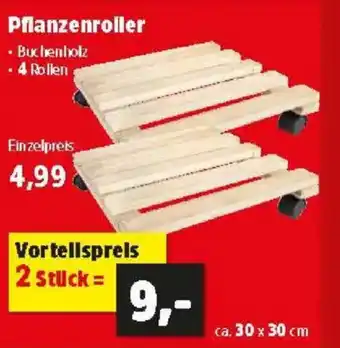 Thomas Philipps Pflanzenroller Angebot