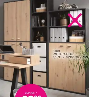 Mömax Regal Mister Office Angebot
