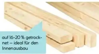 Hellweg Unterkonstruktionslatte Angebot