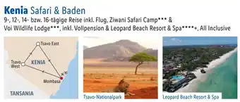 Lidl Reisen Kenia Safari & Baden Angebot