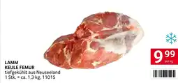Transgourmet Lamm keule femur Angebot