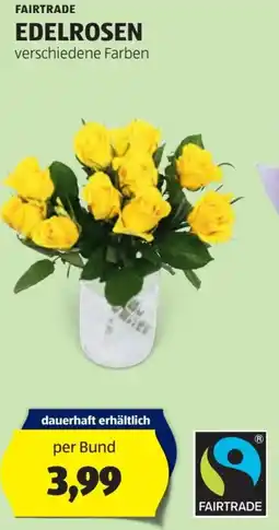 Hofer Edelrosen Angebot