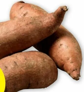 PENNY Susskartoffeln Angebot