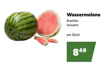 Eurogast Grissemann Wassermelone Angebot