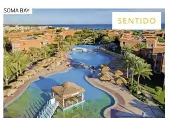 Billa Reisen Rotes Meer-Ägypten-Soma Bay Angebot