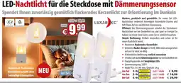 Pearl LED-Nachtlicht Angebot