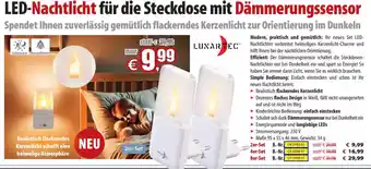 Pearl LED-Nachtlicht Angebot