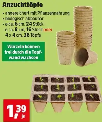 Thomas Philipps Anzuchttöpfe Angebot