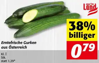 Nah&Frisch Erntefrische Gurken Aus Österreich Kl I Angebot