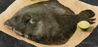 Billa Steinbutt Angebot