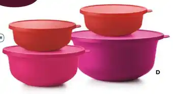 Tupperware Best of Aloha-Set Angebot