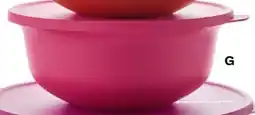 Tupperware Aloha Angebot