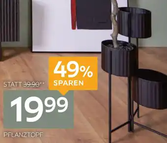 XXXLutz Pflanztopf Angebot