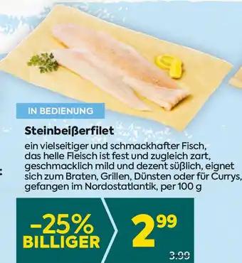 Billa Steinbeißerfilet Angebot