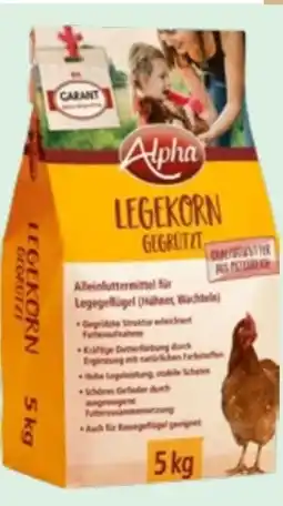 Lagerhaus Legekorn Angebot