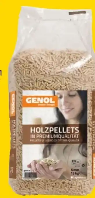 Lagerhaus Holzpellets Angebot