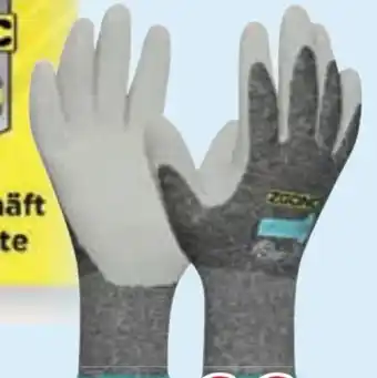 Zgonc Winter-Handschuhe Angebot