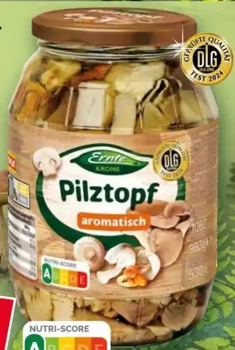 Norma Pilztopf Angebot