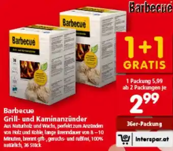 Interspar Grill- und Kaminanzünder Angebot