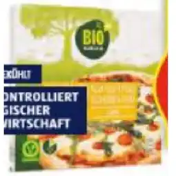 Hofer Bio-Steinofenpizza versch. Sorten HOFER Angebot