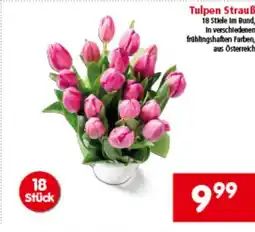 Interspar Tulpen Strauß Angebot