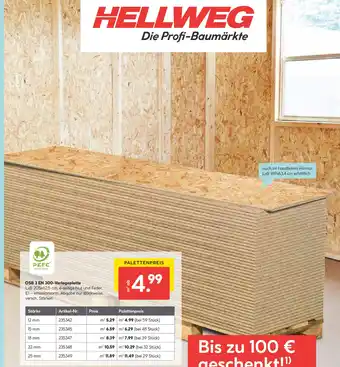 Hellweg OSB 3 EN 300-Verlegeplatte Angebot