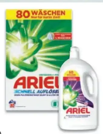 Metro Ariel Professional Vollwaschmittel Pulver Angebot