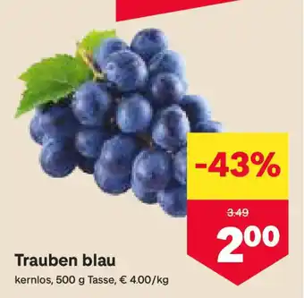 MPreis Trauben blau Angebot