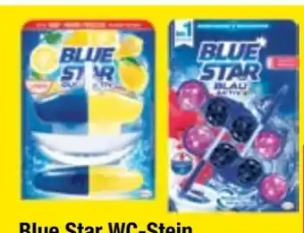 Maximarkt Blue Star WC-Steine Angebot