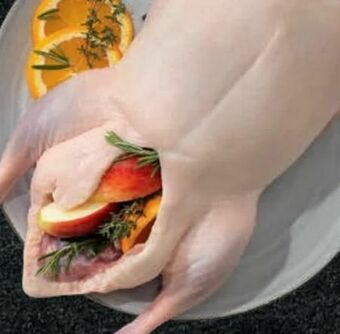 PENNY Ente Bratfertig Angebot